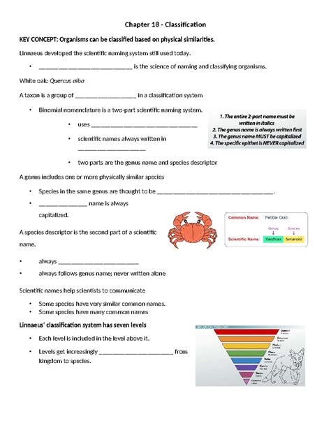 Download Chapter 18 Classification Answer Key Biology 
