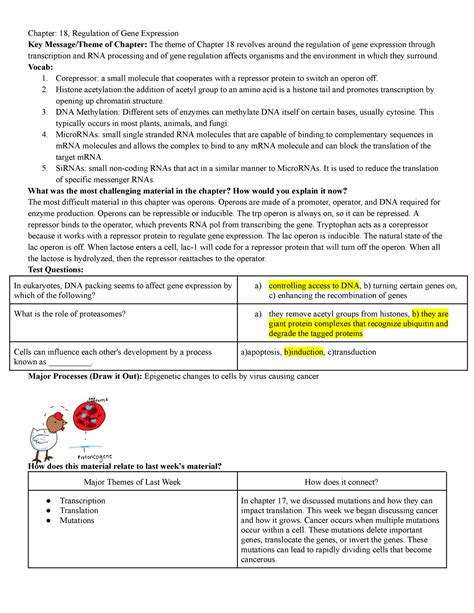 Full Download Chapter 18 Regulation Of Gene Expression Study Guide Answers 