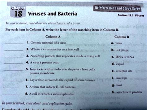 Full Download Chapter 18 Viruses Bacteria Reinforcement Study Guide 