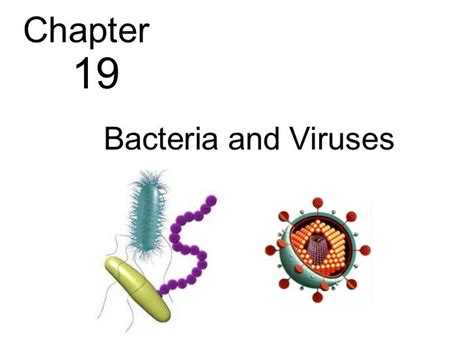 Full Download Chapter 19 Bacteria And Viruses 