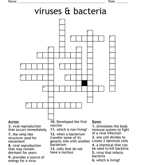Full Download Chapter 19 Bacteria And Viruses Crossword Answer Key 
