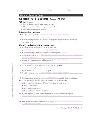 Read Online Chapter 19 Bacteria And Viruses Test B 