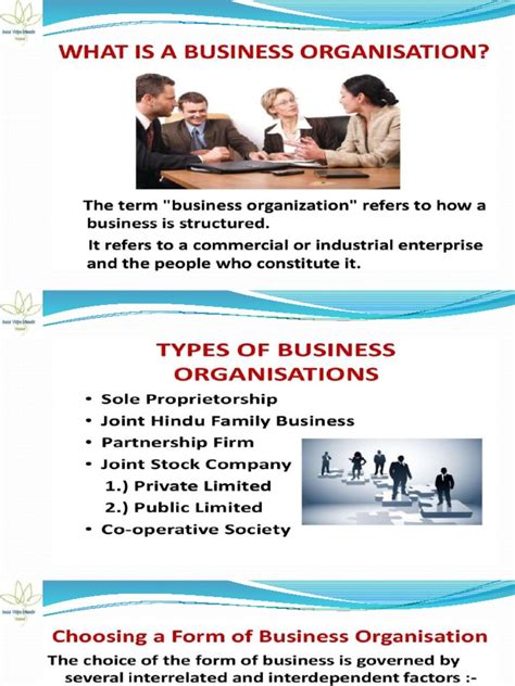 Read Online Chapter 2 Forms Of Business Organisation 
