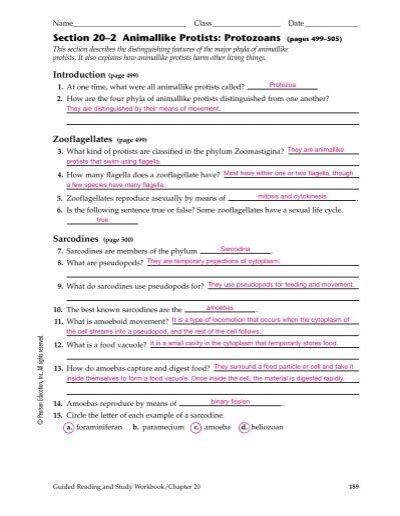 Read Online Chapter 20 Protists Vocabulary Review Answer Key 