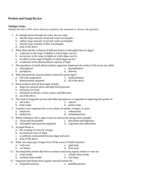 Read Online Chapter 20 Protists Vocabulary Review Answers 