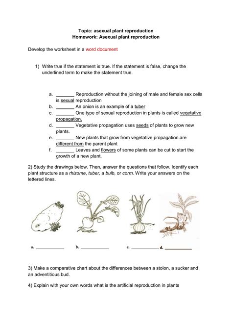 Full Download Chapter 21 What Is A Plant Answer Key 