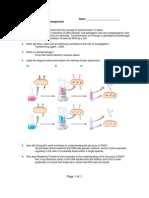 Read Online Chapter 22 Ap Biology Reading Guide Answers 