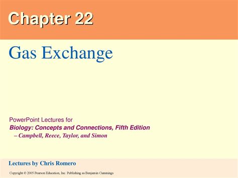 Read Online Chapter 22 Gas Exchange 