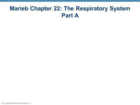Read Online Chapter 22 Respiratory System Marieb 