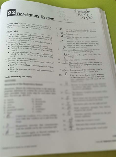 Download Chapter 22 Respiratory System Test Questions 