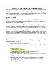 Full Download Chapter 23 Digestive System Study Guide 