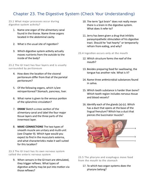 Read Chapter 23 Digestive System Test 