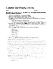 Read Online Chapter 25 Urinary System Test 