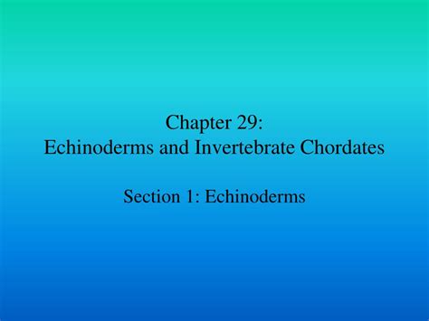 Download Chapter 29 Echinoderms And Invertebrate Chordates Glencoe 