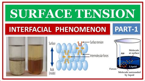 Read Online Chapter 3 Surface And Intefacial Tension 