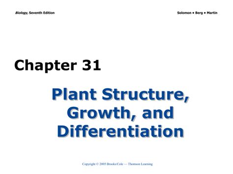 Read Chapter 31 Plant Structure And Development Test Bank Pdf 