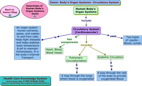 Full Download Chapter 34 Circulation In Humans Concept Mapping 