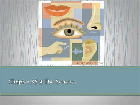 Read Online Chapter 35 4 The Senses Answer Key 