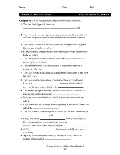 Read Online Chapter 35 Nervous System Vocabulary Review Answer Key 
