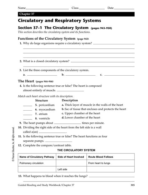 Download Chapter 37 Circulatory And Respiratory Systems 