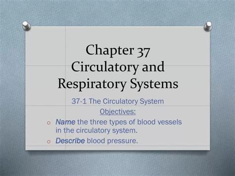Full Download Chapter 37 The Respiratory System 
