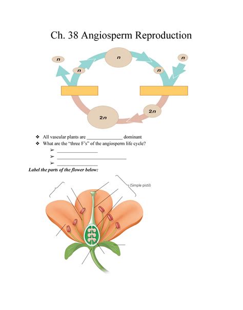 Read Chapter 38 Angiosperm Reproduction And Biotechnology Answers 