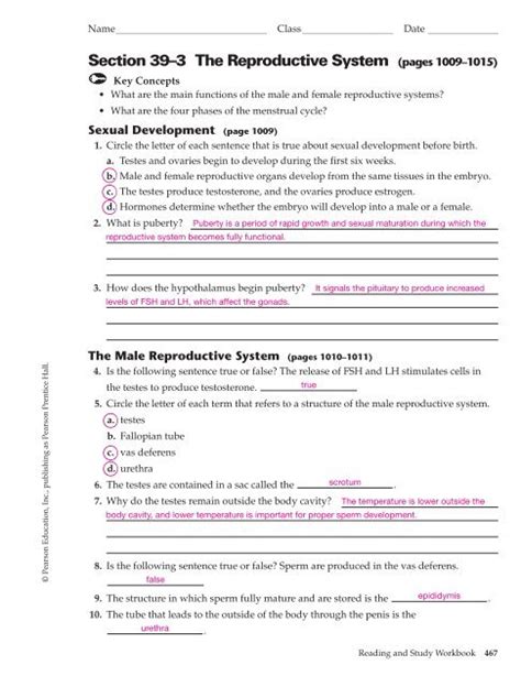 Download Chapter 39 Endocrine And Reproductive Systems Vocabulary Review Answers 