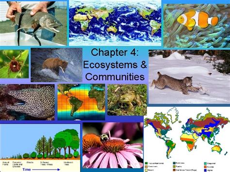 Full Download Chapter 4 Ecosystems And Communities Section 1 The Role Of Climate Answers 