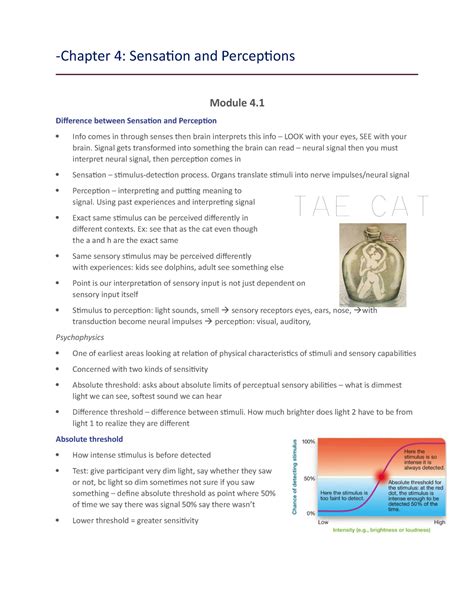 Read Chapter 4 Sensation And Perception 