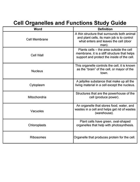 Full Download Chapter 4 Study Guide Cell Structure And Function 