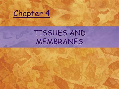 Read Online Chapter 4 Tissues And Membranes 