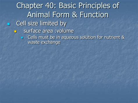 Read Chapter 40 Basic Principles Of Animal Form Function Activities 