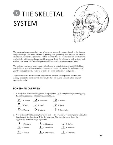 Full Download Chapter 5 Skeletal System Answers 