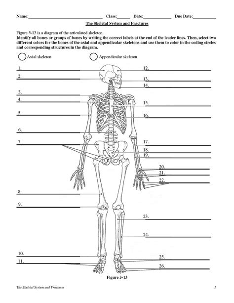 Read Chapter 5 The Skeletal System 