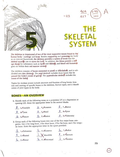 Read Chapter 5 The Skeletal System Packet Answer Key Part 2 