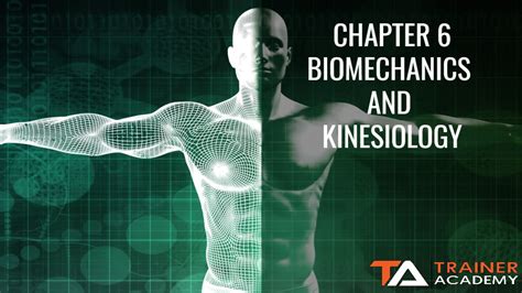 Read Chapter 6 Biomechanics And Tissue Injuries Crcnetbase 