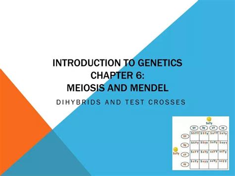Read Online Chapter 6 Meiosis And Mendel Painfreelutions 
