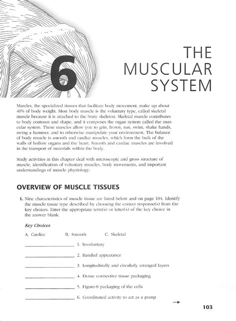 Download Chapter 6 Muscular System Answers 