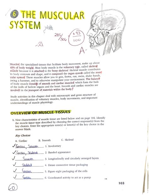 Download Chapter 6 Muscular System Answers 