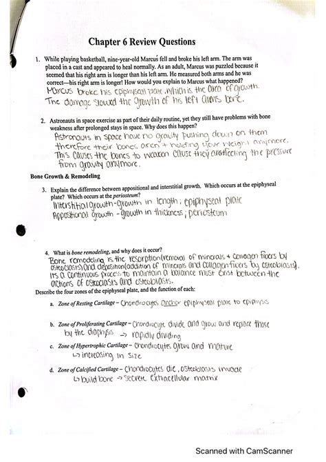 Read Online Chapter 6 Review Questions 