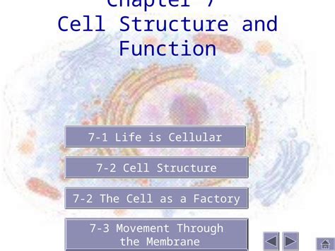 Read Chapter 7 Cell Structure And Function 7 1 Life Is Cellular 