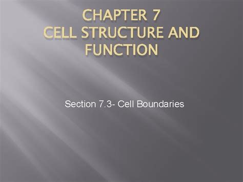 Download Chapter 7 Cell Structure And Function Section 3 Boundaries Answer Key 