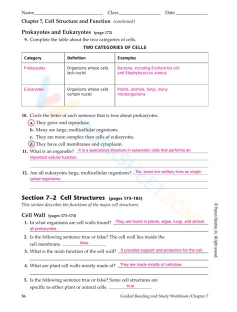 Read Chapter 7 Cell Structure Function Section Review 2 Answer Key 