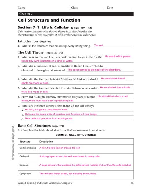 Read Online Chapter 7 Cells Study Guide 