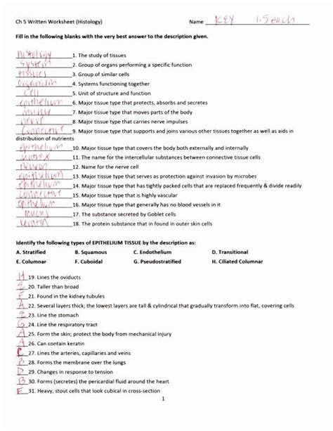 Read Online Chapter 7 The Nervous System Answer Key Coloring Workbook 