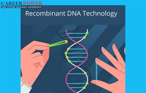 Read Online Chapter 8 Applications Of Recombinant Dna Technology 