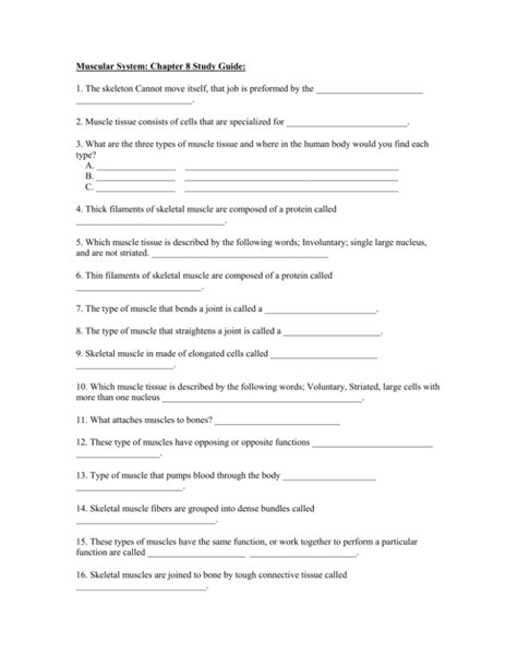 Full Download Chapter 8 Muscular System Study Guide Answers 