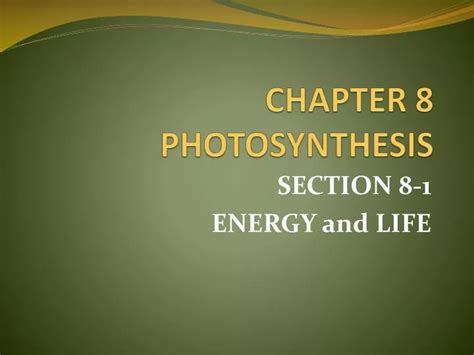 Download Chapter 8 Photosynthesis Section Review 
