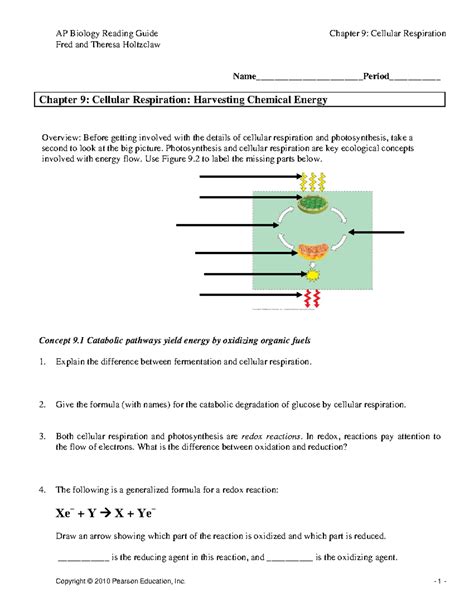 Read Online Chapter 9 Cellular Respiration Key 