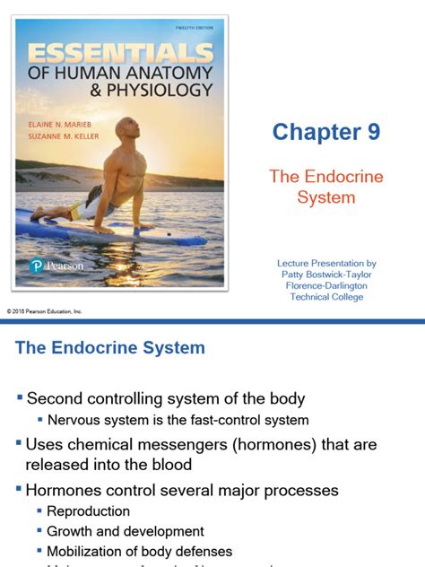 Read Online Chapter 9 Endocrine System Study Guide 